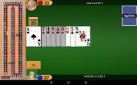 Cribbage Pro Online! screenshot, image №1351177 - RAWG