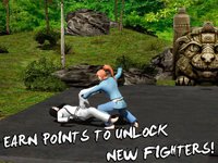 Karate Do Fighting Tiger 3D screenshot, image №908307 - RAWG