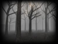 Slender Rising screenshot, image №2126081 - RAWG