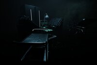 Forest Asylum screenshot, image №4168534 - RAWG