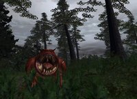 Warhammer Online (2004) screenshot, image №377348 - RAWG
