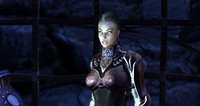 Dungeon Siege 3 screenshot, image №555585 - RAWG