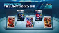 Franchise Hockey 2018 screenshot, image №1501035 - RAWG