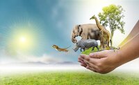 Save The Animals (GabrielGallant) screenshot, image №3806361 - RAWG