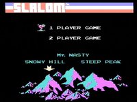 Slalom screenshot, image №737802 - RAWG