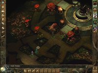 Icewind Dale: Heart of Winter screenshot, image №321006 - RAWG