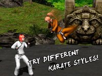 Karate Do Fighting Tiger 3D screenshot, image №908299 - RAWG