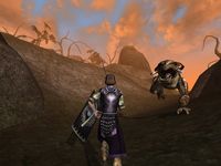 The Elder Scrolls III: Morrowind screenshot, image №289964 - RAWG