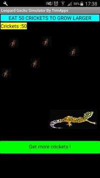 Leopard Gecko Simulator screenshot, image №1288536 - RAWG