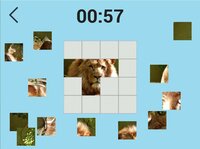 Ultimate Puzzles Animals screenshot, image №2928650 - RAWG