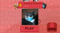 Ultimate Puzzles Cats 3 screenshot, image №3170435 - RAWG