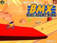 BMX Bike Stunt Race screenshot, image №974117 - RAWG
