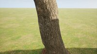 World Up screenshot, image №3247769 - RAWG