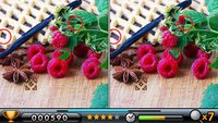 Spot the Differences! screenshot, image №542787 - RAWG