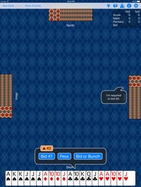 Pinochle Plus screenshot, image №947945 - RAWG