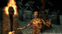 The Elder Scrolls IV: Oblivion Game of the Year Edition screenshot, image №138534 - RAWG