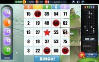 Bingo - Free Bingo Games screenshot, image №1361365 - RAWG