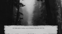 Into the Woods (fielstoria) screenshot, image №3567599 - RAWG