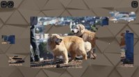 Puzzles for smart: Dogs screenshot, image №840136 - RAWG