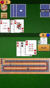 Cribbage Pro Online! screenshot, image №1351172 - RAWG