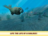 Arctic Walrus Survival Simulator 3D screenshot, image №1795297 - RAWG