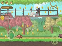 Forest Rabbit: Adventures screenshot, image №1983662 - RAWG