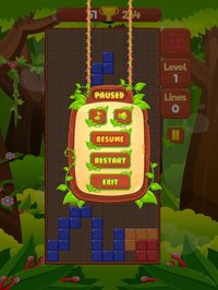 Tetro Legend - Block Puzzle screenshot, image №1913443 - RAWG