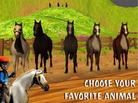 Crazy Animal Rampage Simulator: Wild Horse Fury Ride screenshot, image №974597 - RAWG