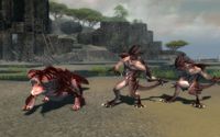 Guild Wars Nightfall screenshot, image №705738 - RAWG