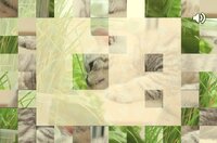 Animal Puzzles screenshot, image №2632854 - RAWG