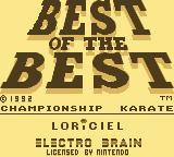 Best of the Best: Championship Karate screenshot, image №734782 - RAWG