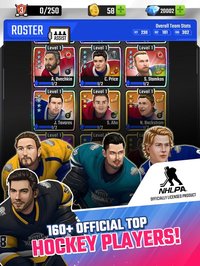 Puzzle Hockey screenshot, image №2195100 - RAWG