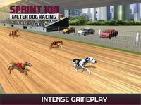Sprint 100 Meter Dog Racing: Race Dogs On Tracks screenshot, image №1780157 - RAWG