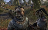 The Elder Scrolls Online screenshot, image №594011 - RAWG