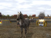 Wildlife Park 2: Horses screenshot, image №493907 - RAWG