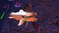 Sealife Safari screenshot, image №271628 - RAWG