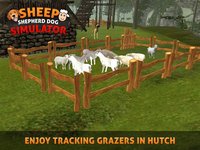 Sheep Dog: Trained Herding Dog Simulator screenshot, image №1780218 - RAWG