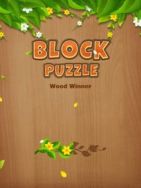 Block Puzzle: Wood Winner screenshot, image №2903553 - RAWG