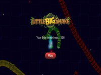 Little Big Snake io screenshot, image №1668577 - RAWG