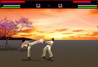 KARATE - Way Of The Fist screenshot, image №2286426 - RAWG