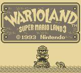 Wario Land: Super Mario Land 3 screenshot, image №1720169 - RAWG