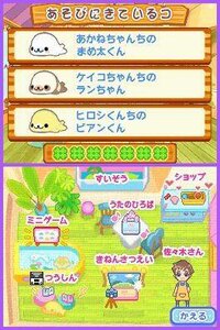 Kupuu!! Mamegoma (DS) screenshot, image №3368004 - RAWG