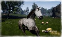 Horse Riding Deluxe screenshot, image №716040 - RAWG