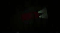Alone in the Forest 2D screenshot, image №2835340 - RAWG