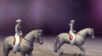 EquiMagic - Galashow of Horses screenshot, image №707669 - RAWG