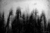 Not Unlike the Waves screenshot, image №2282535 - RAWG
