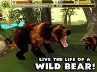 Wildlife Simulator: Bear screenshot, image №958302 - RAWG