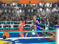 Real Women Boxing Mayhem screenshot, image №908680 - RAWG