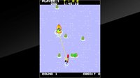 Arcade Archives WATER SKI screenshot, image №2141067 - RAWG