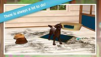 PetHotel - My animal boarding kennel game screenshot, image №1519585 - RAWG